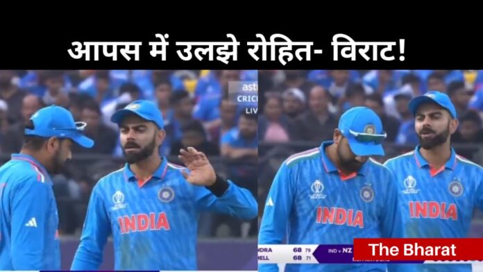 new zealand vs india